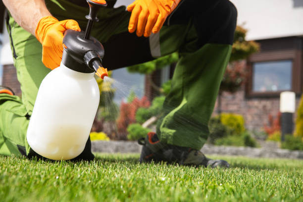 Best Best Pest Control Companies  in Helper, UT