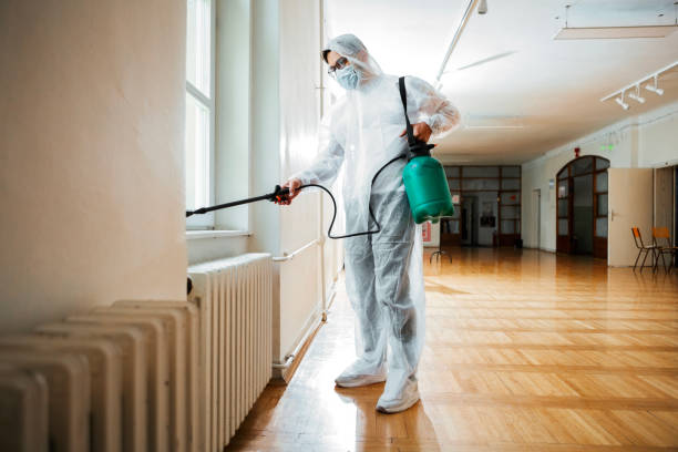 Wasp Removal Services in Helper, UT