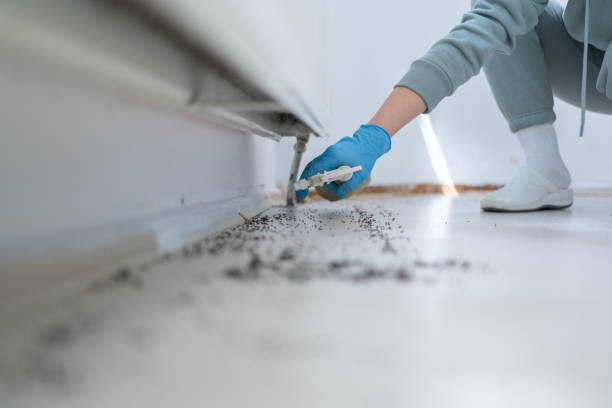 Insect Control in Helper, UT